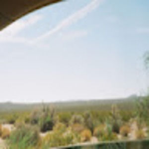 Meet your Posher, Yael